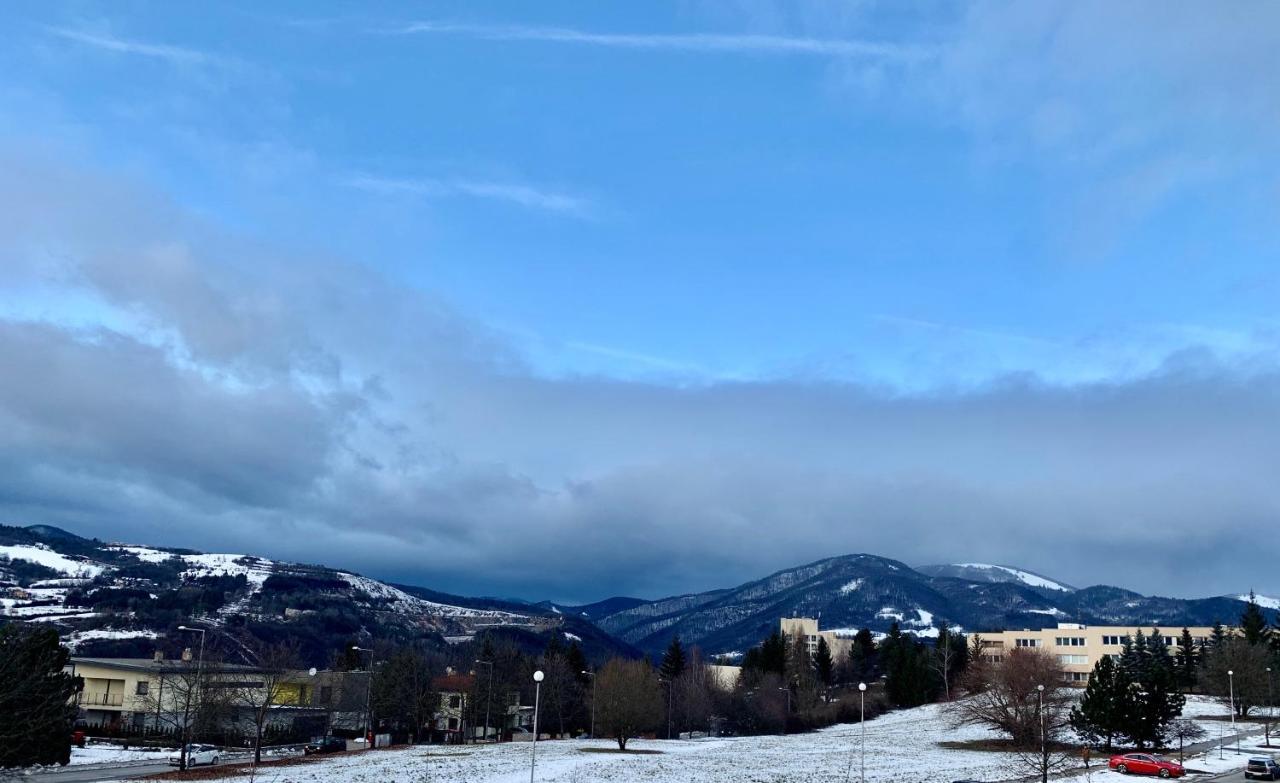 Bl - The Executive Suite, Boru - 24Hr Self Check-In, Free Private Parking, Balcony With Mountain View, 5 Minute Walk To City Center Banská Bystrica Exterior foto