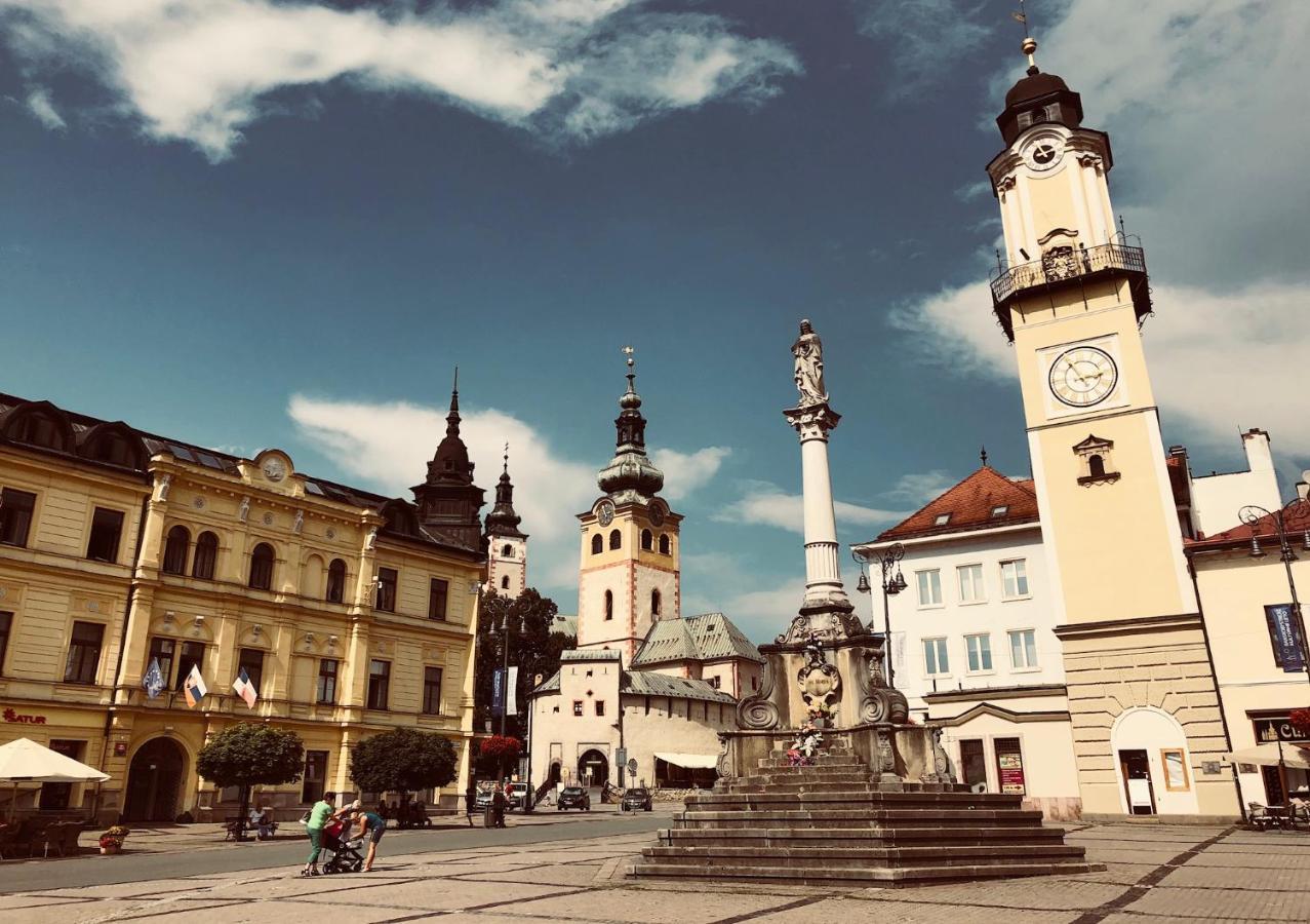 Bl - The Executive Suite, Boru - 24Hr Self Check-In, Free Private Parking, Balcony With Mountain View, 5 Minute Walk To City Center Banská Bystrica Exterior foto